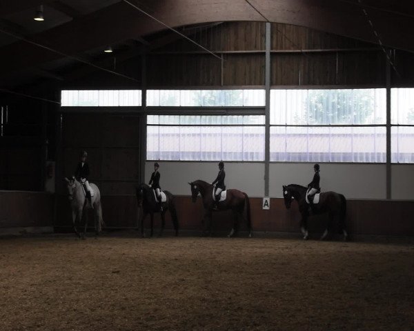 Reitturnier Fröndenberg 2016