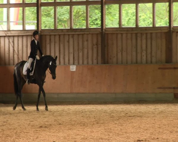 Reitturnier Fröndenberg 2016