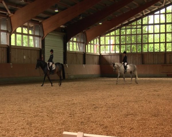 Reitturnier Fröndenberg 2016