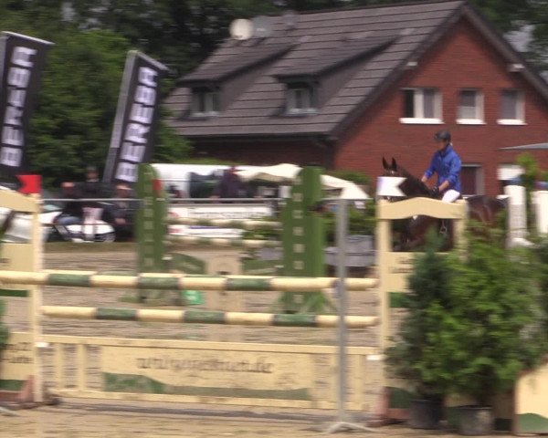 Coesfelder Reitertage 2016