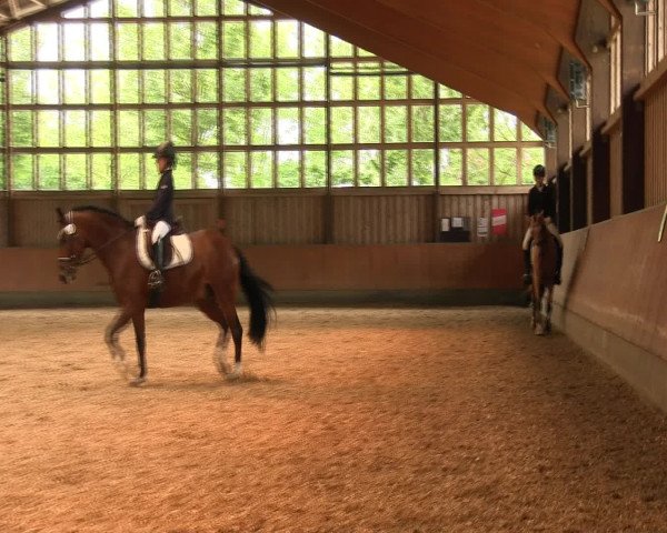 Reitturnier Fröndenberg 2016