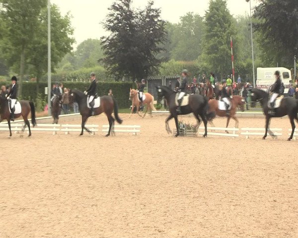 Reitturnier Fröndenberg 2016