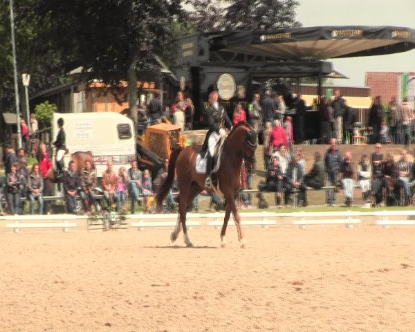 Reitturnier Fröndenberg 2016