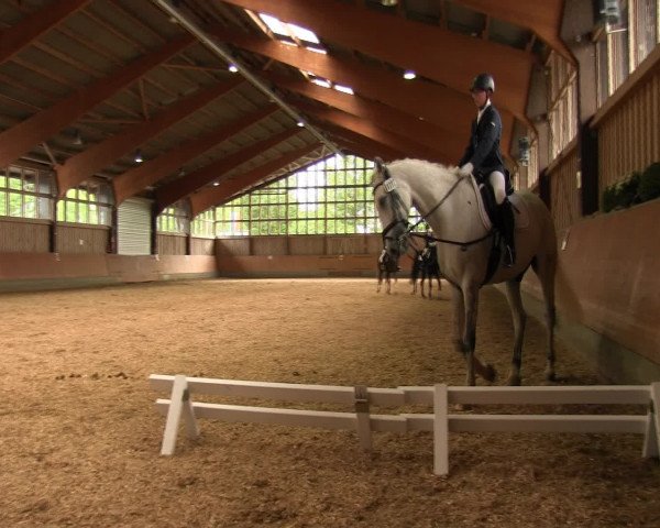Reitturnier Fröndenberg 2016
