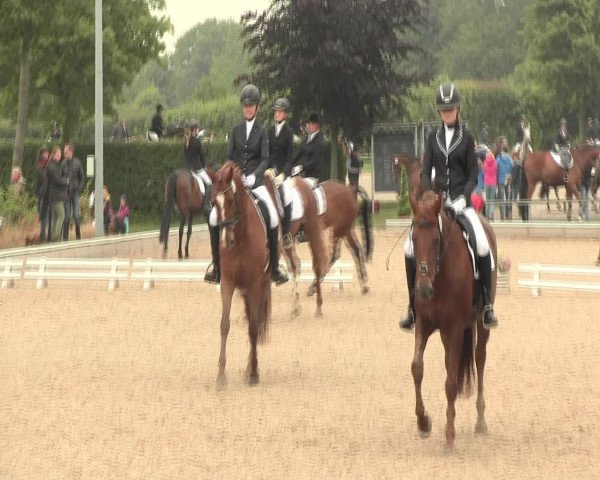 Reitturnier Fröndenberg 2016
