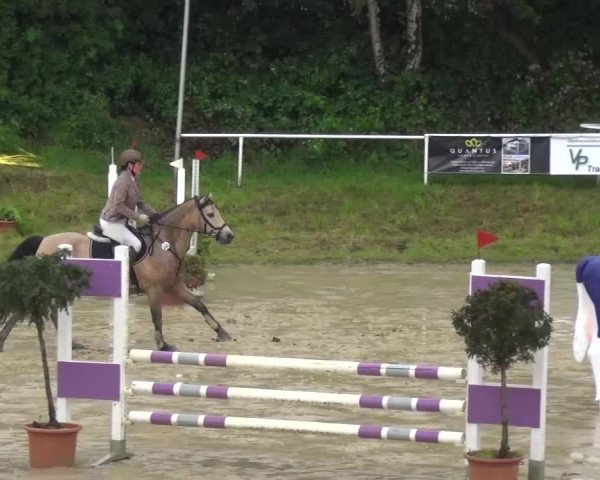 Reitturnier Viersen-Dülken 2016 - Kleines Sommerturnier