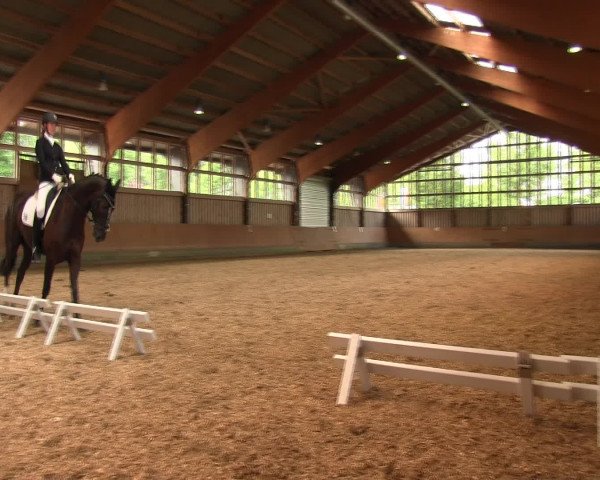 Reitturnier Fröndenberg 2016
