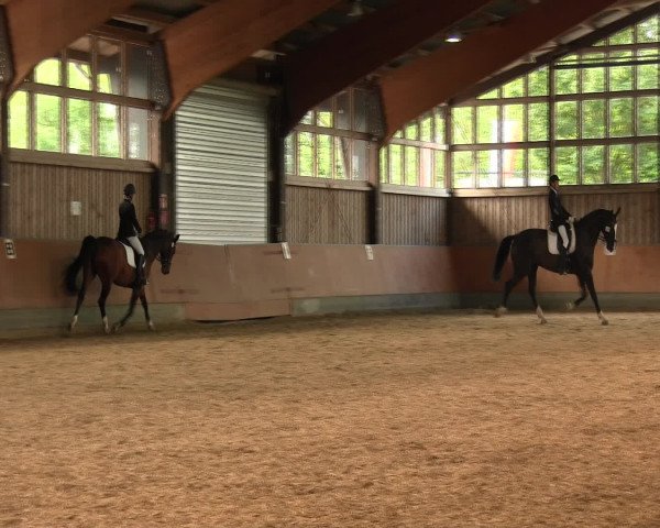Reitturnier Fröndenberg 2016