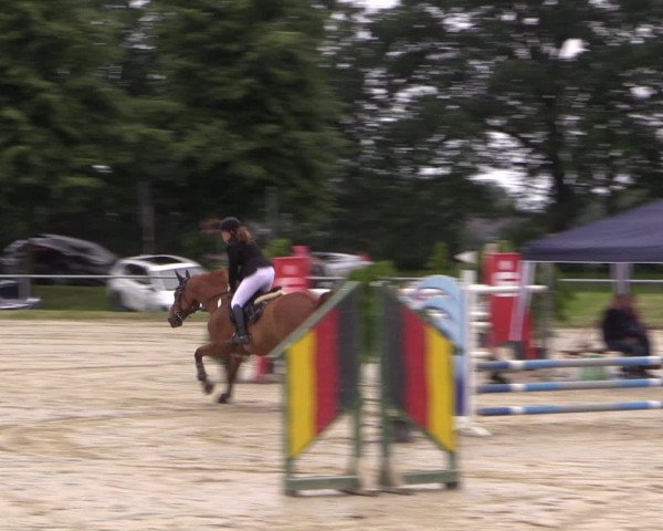 Coesfelder Reitertage 2016