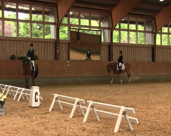 Reitturnier Fröndenberg 2016