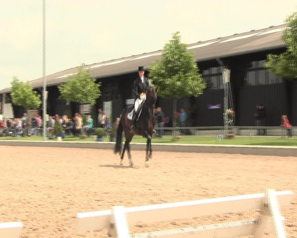 Reitturnier Fröndenberg 2016