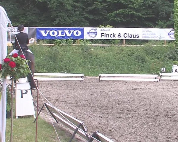 Reitturnier Hanerau-Hademarschen 2016