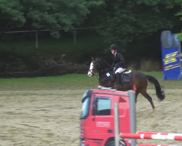 Reitturnier Viersen-Dülken 2016 - Kleines Sommerturnier