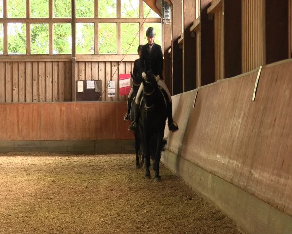 Reitturnier Fröndenberg 2016