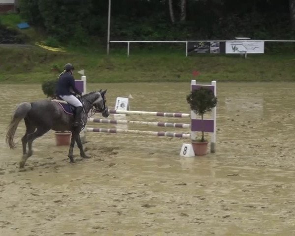 Reitturnier Viersen-Dülken 2016 - Kleines Sommerturnier