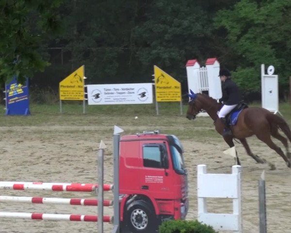 Reitturnier Viersen-Dülken 2016 - Kleines Sommerturnier