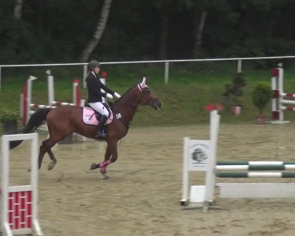 Reitturnier Viersen-Dülken 2016 - Kleines Sommerturnier