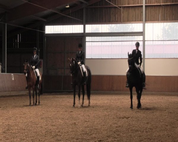 Reitturnier Fröndenberg 2016