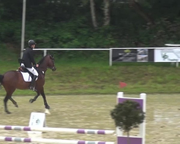Reitturnier Viersen-Dülken 2016 - Kleines Sommerturnier