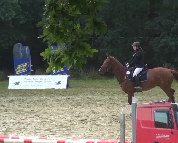 Reitturnier Viersen-Dülken 2016 - Kleines Sommerturnier