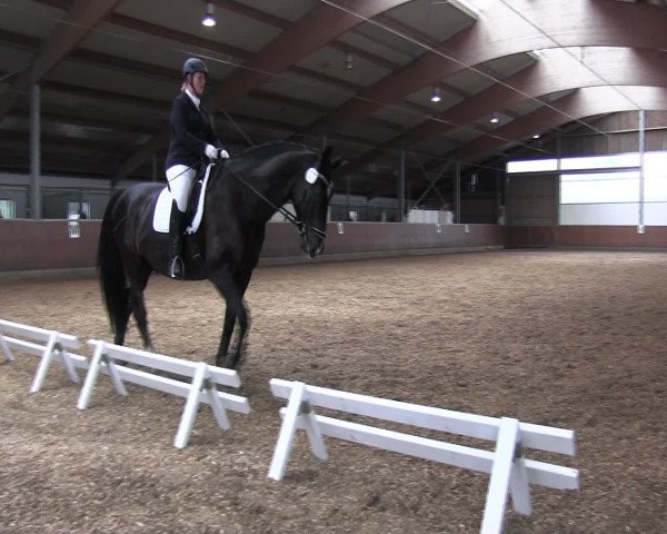 Reitturnier Fröndenberg 2016
