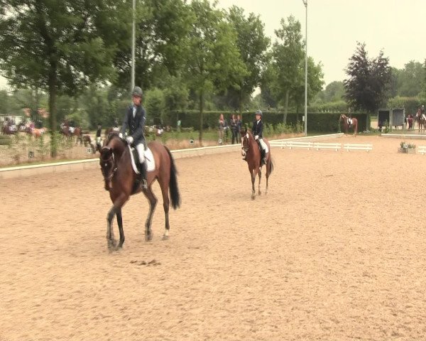 Reitturnier Fröndenberg 2016