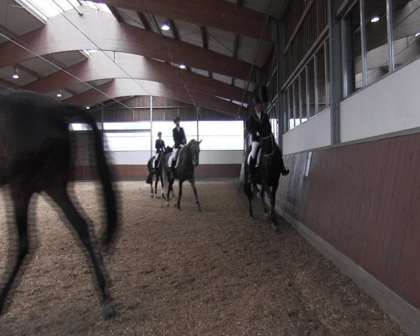 Reitturnier Fröndenberg 2016