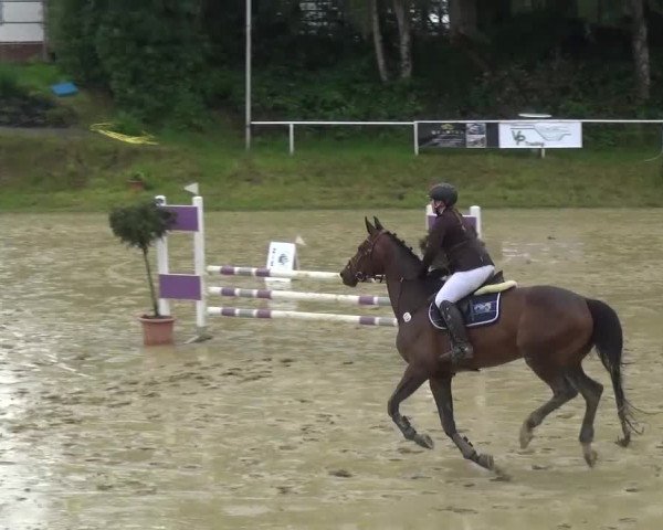Reitturnier Viersen-Dülken 2016 - Kleines Sommerturnier