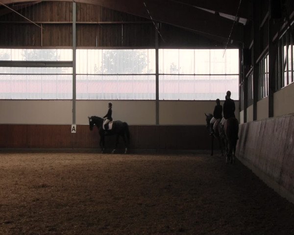 Reitturnier Fröndenberg 2016