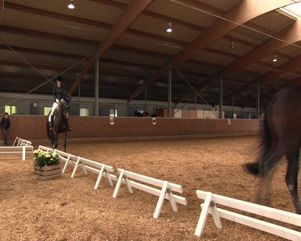 Reitturnier Fröndenberg 2016