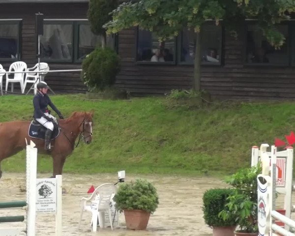 Reitturnier Viersen-Dülken 2016 - Kleines Sommerturnier