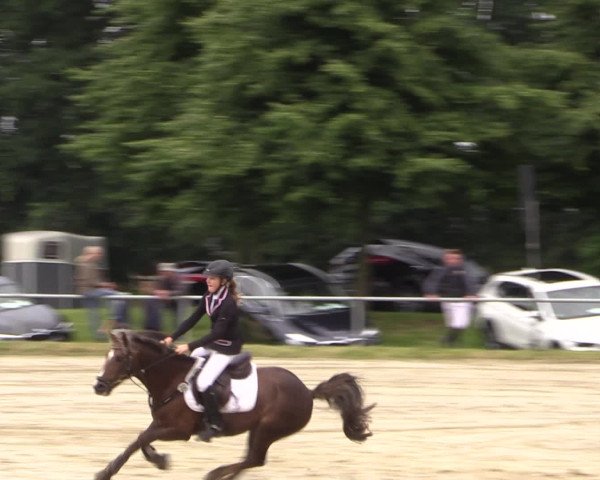 Coesfelder Reitertage 2016