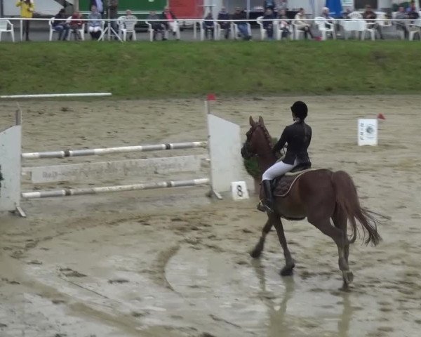 Reitturnier Viersen-Dülken 2016 - Kleines Sommerturnier