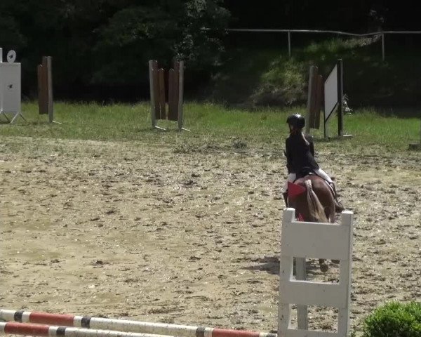 Reitturnier Viersen-Dülken 2016 - Kleines Sommerturnier