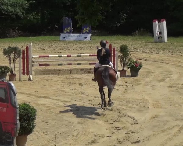 Reitturnier Viersen-Dülken 2016 - Kleines Sommerturnier