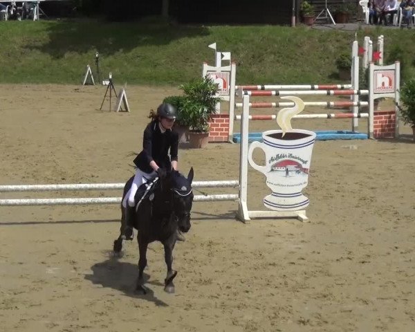 Reitturnier Viersen-Dülken 2016 - Kleines Sommerturnier