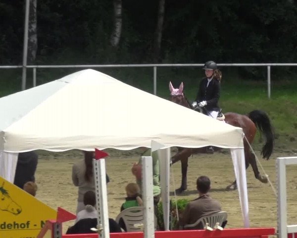Reitturnier Viersen-Dülken 2016 - Kleines Sommerturnier
