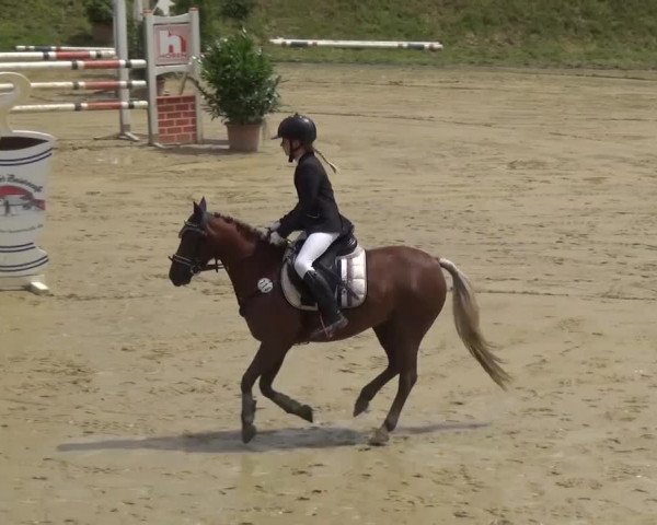 Reitturnier Viersen-Dülken 2016 - Kleines Sommerturnier
