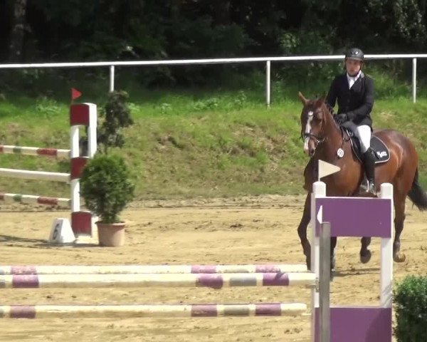 Reitturnier Viersen-Dülken 2016 - Kleines Sommerturnier