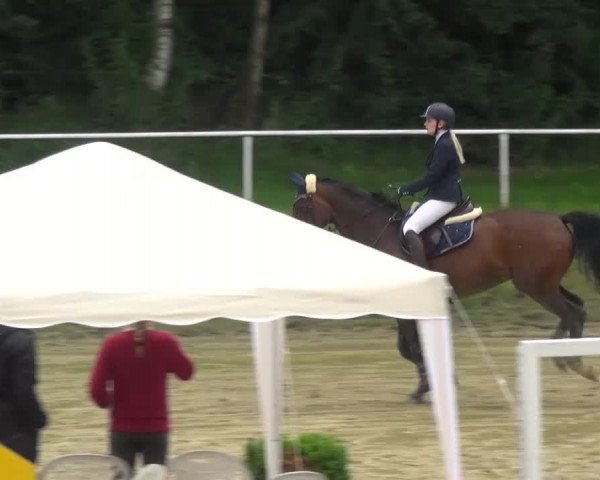 Reitturnier Viersen-Dülken 2016 - Kleines Sommerturnier