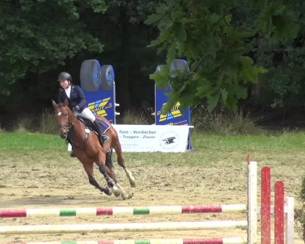 Reitturnier Viersen-Dülken 2016 - Kleines Sommerturnier