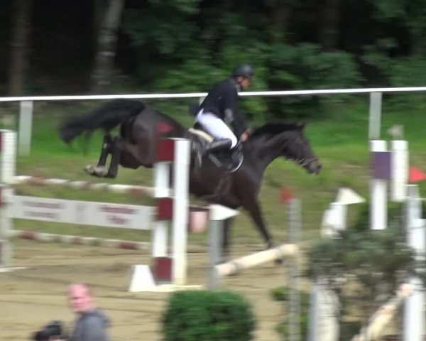 Reitturnier Viersen-Dülken 2016 - Kleines Sommerturnier