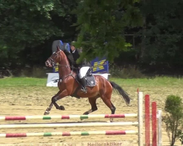 Reitturnier Viersen-Dülken 2016 - Kleines Sommerturnier