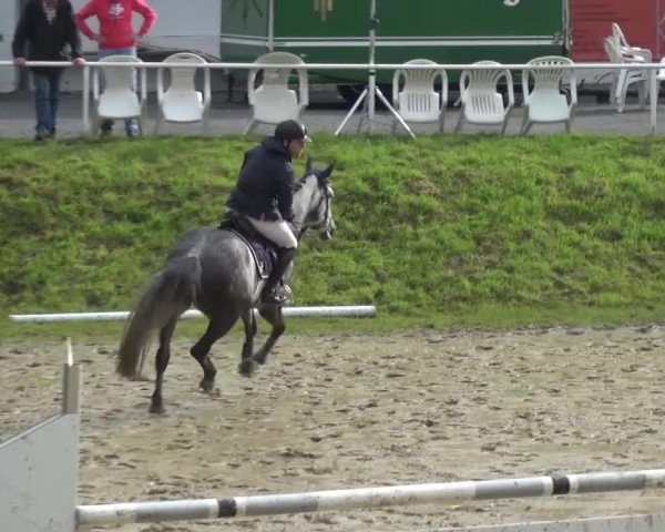 Reitturnier Viersen-Dülken 2016 - Kleines Sommerturnier