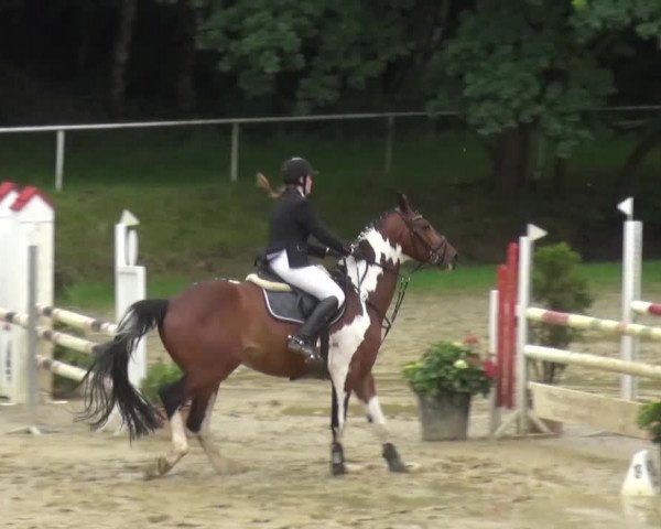 Reitturnier Viersen-Dülken 2016 - Kleines Sommerturnier