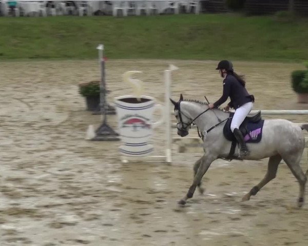 Reitturnier Viersen-Dülken 2016 - Kleines Sommerturnier
