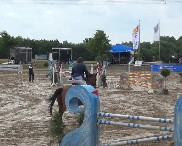 Heinsberger Dressur- und Springtage 2016