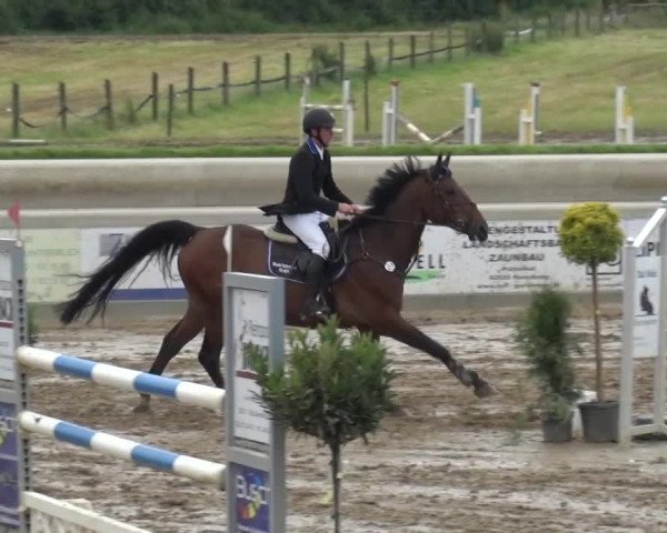 Heinsberger Dressur- und Springtage 2016