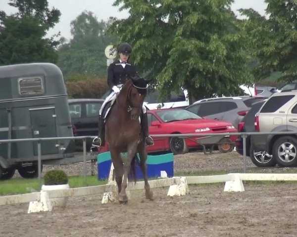 Heinsberger Dressur- und Springtage 2016