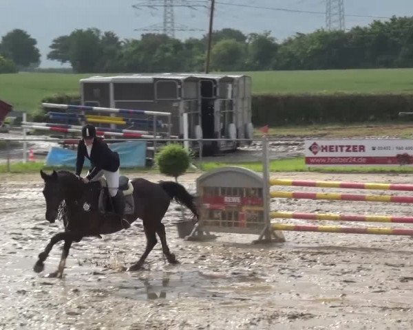 Heinsberger Dressur- und Springtage 2016